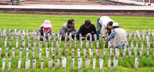 科技助力，春耕生產(chǎn)掀起大熱潮