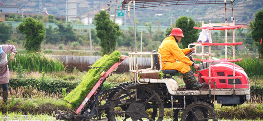 陜西商洛：扎實推進&ldquo;三夏&rdquo;農(nóng)業(yè)生產(chǎn)